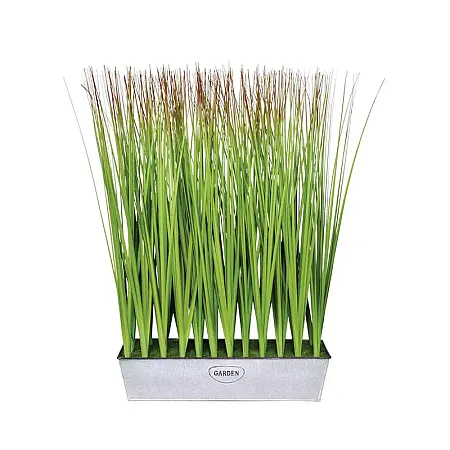 images/uploads/25110/thumb_24189 G.webp